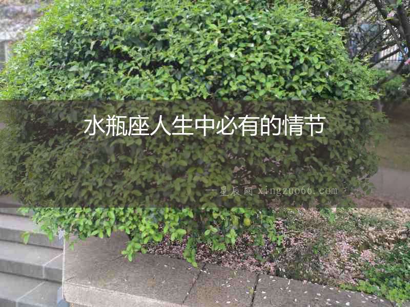 水瓶座人生中必有的情節