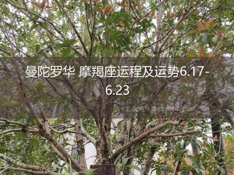 曼陀羅華 摩羯座運程及運勢6.17-6.23