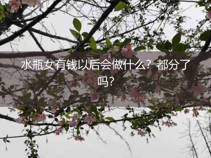 水瓶女有錢以后會做什么？都分了嗎？