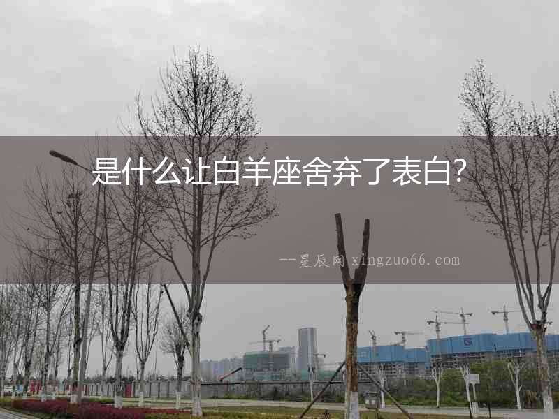 是什么讓白羊座舍棄了表白？