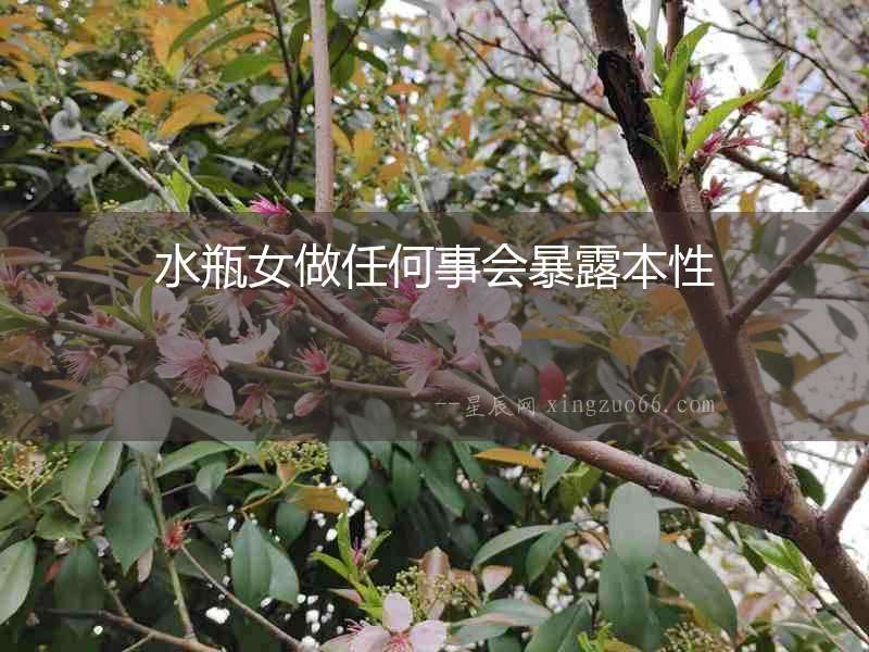 水瓶女做任何事會暴露本性