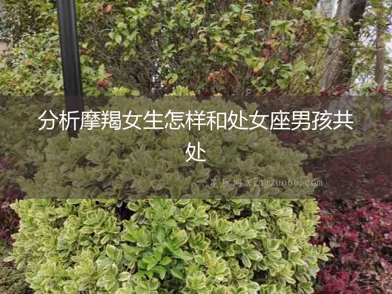 分析摩羯女生怎樣和處女座男孩共處