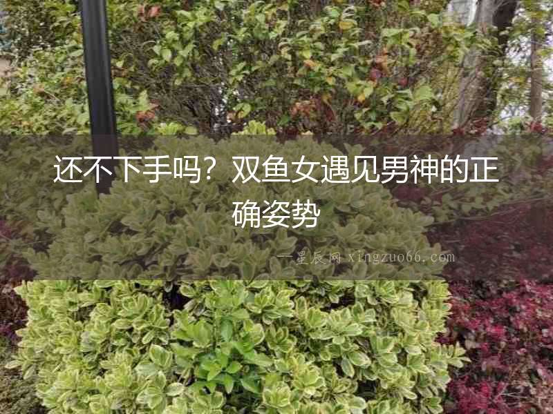 還不下手嗎？雙魚女遇見男神的正確姿勢