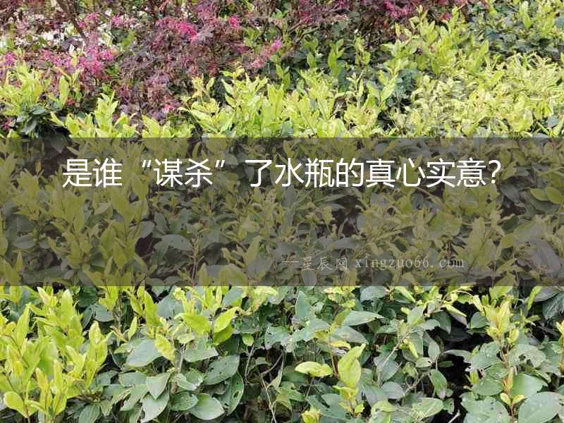 是誰“謀殺”了水瓶的真心實意？