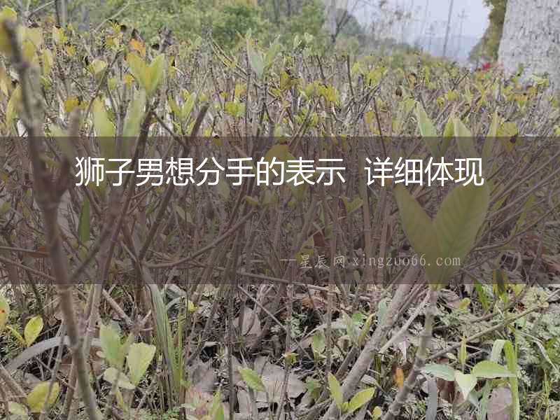 獅子男想分手的表示  詳細體現