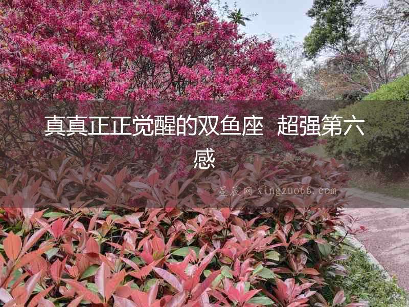 真真正正覺醒的雙魚座  超強(qiáng)第六感