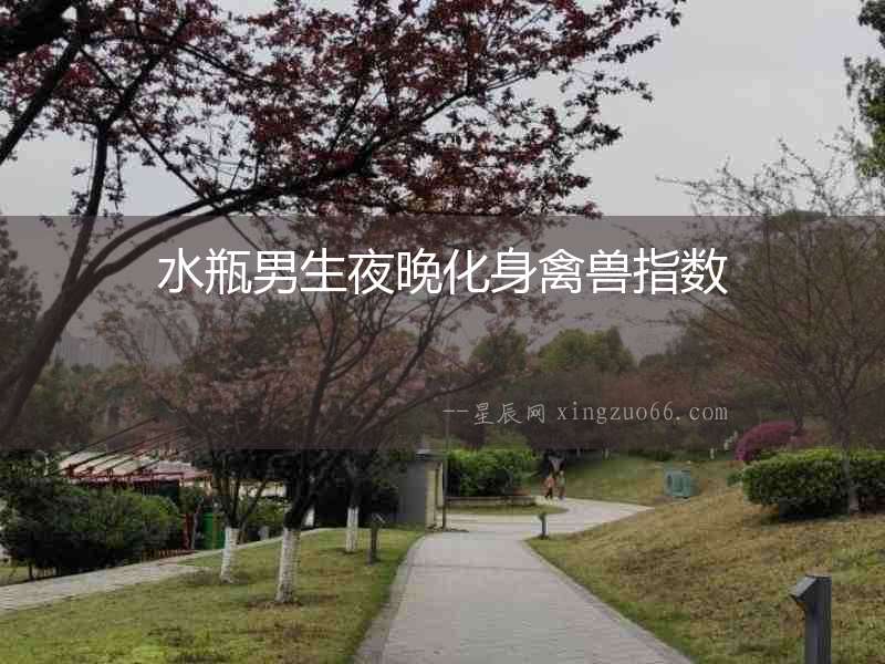 水瓶男生夜晚化身禽獸指數