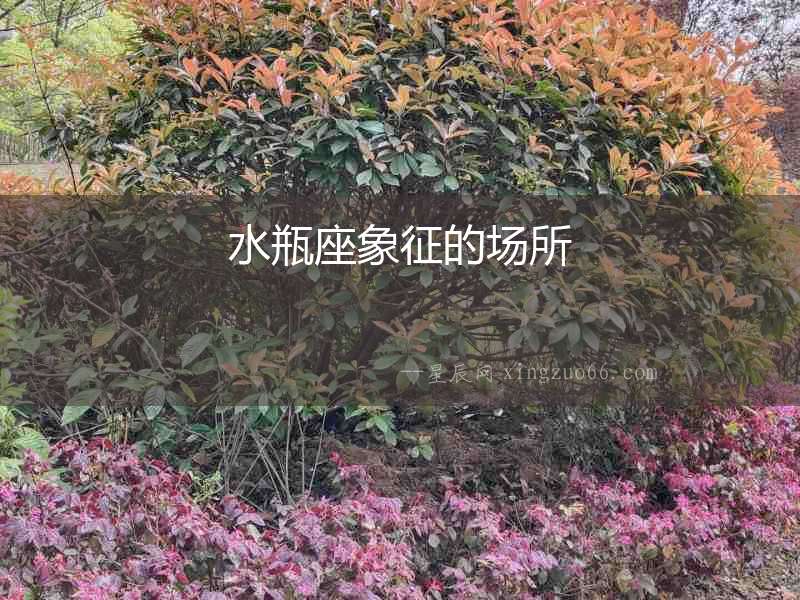 水瓶座象征的場(chǎng)所