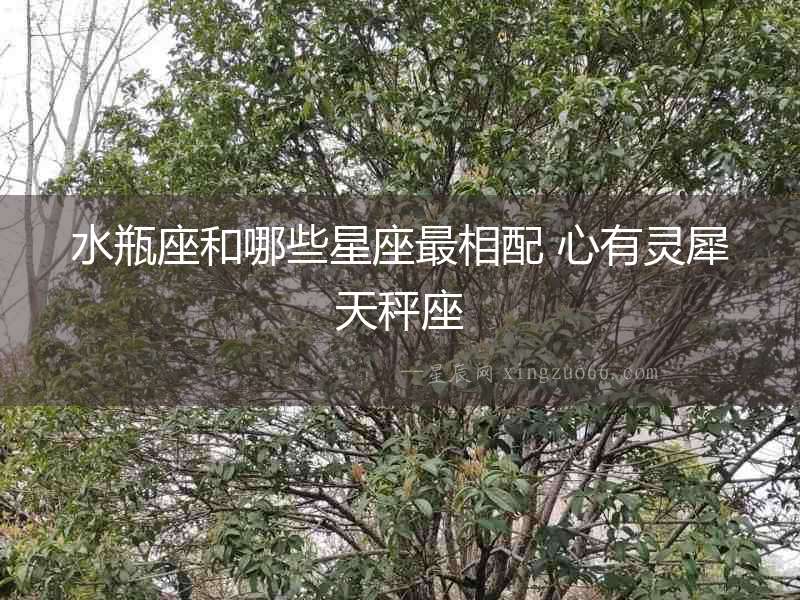 水瓶座和哪些星座最相配 心有靈犀天秤座
