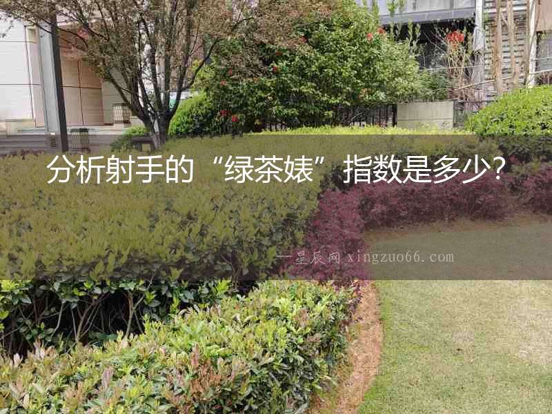 分析射手的“綠茶婊”指數是多少？