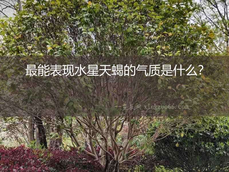 最能表現(xiàn)水星天蝎的氣質(zhì)是什么？