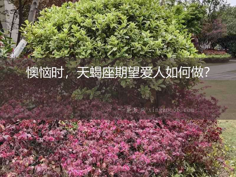 懊惱時，天蝎座期望愛人如何做？