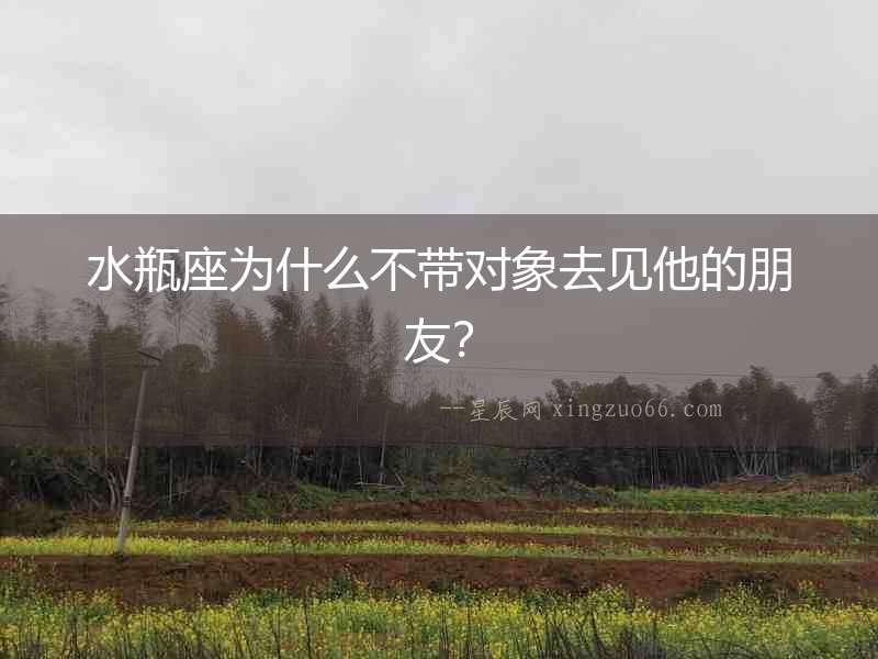 水瓶座為什么不帶對象去見他的朋友？