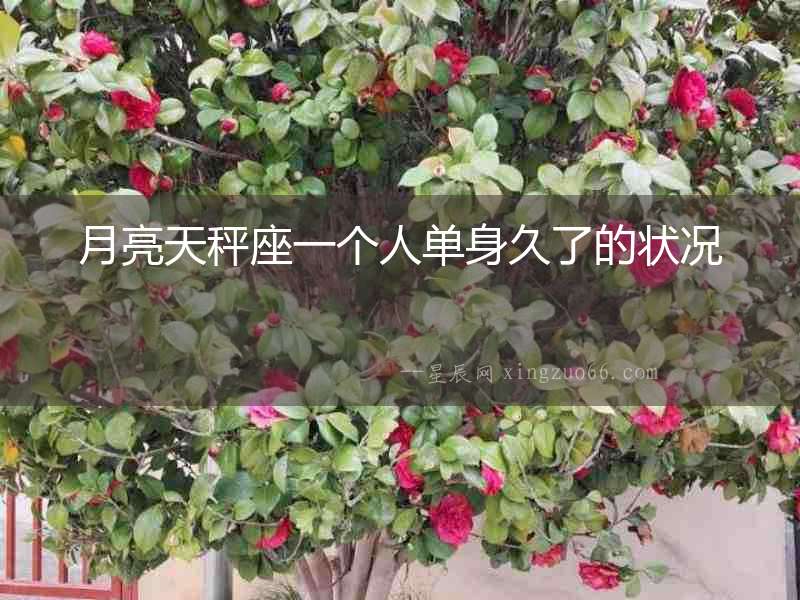 月亮天秤座一個(gè)人單身久了的狀況
