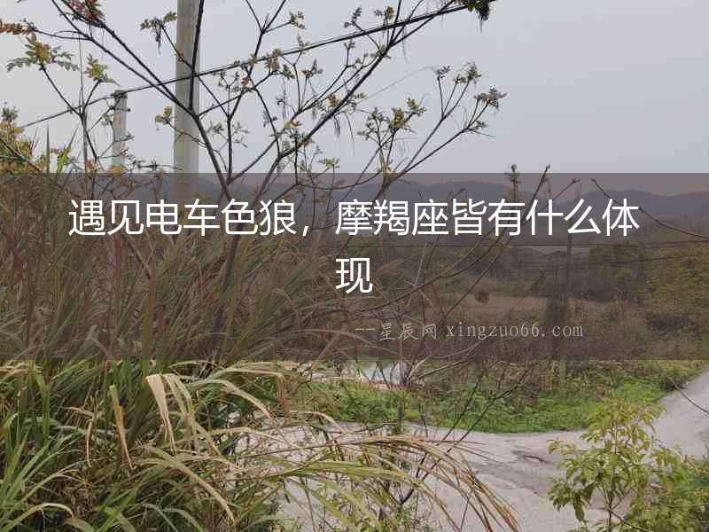 遇見電車色狼，摩羯座皆有什么體現(xiàn)