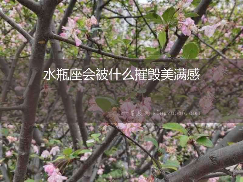 水瓶座會被什么摧毀美滿感