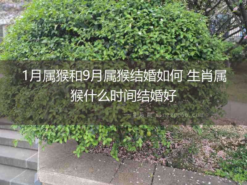 1月屬猴和9月屬猴結(jié)婚如何 生肖屬猴什么時(shí)間結(jié)婚好