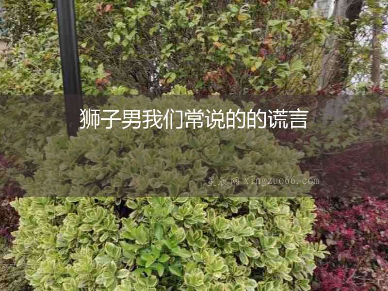 獅子男我們常說(shuō)的的謊言