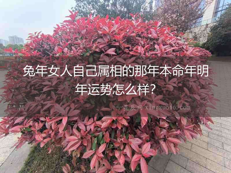 兔年女人自己屬相的那年本命年明年運(yùn)勢怎么樣？