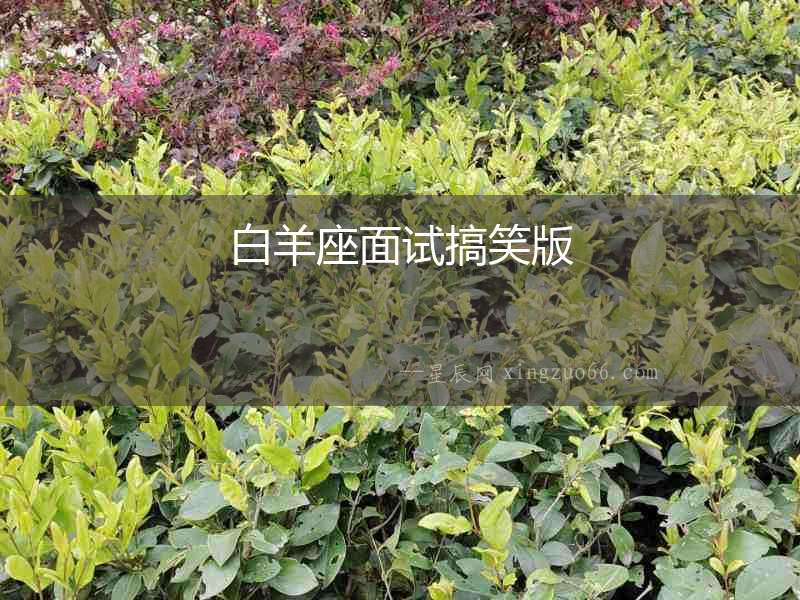 白羊座面試搞笑版