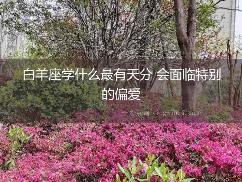 白羊座學(xué)什么最有天分 會面臨特別的偏愛