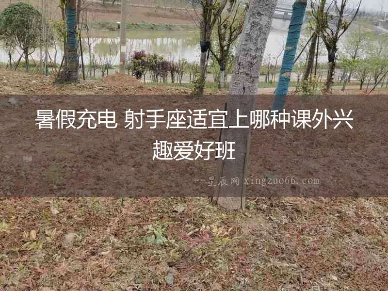 暑假充電 射手座適宜上哪種課外興趣愛好班