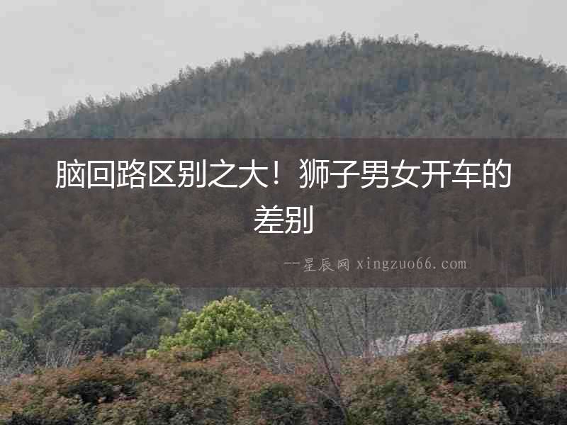 腦回路區別之大！獅子男女開車的差別