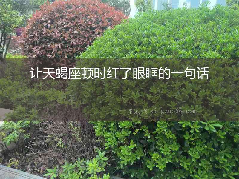 讓天蝎座頓時紅了眼眶的一句話