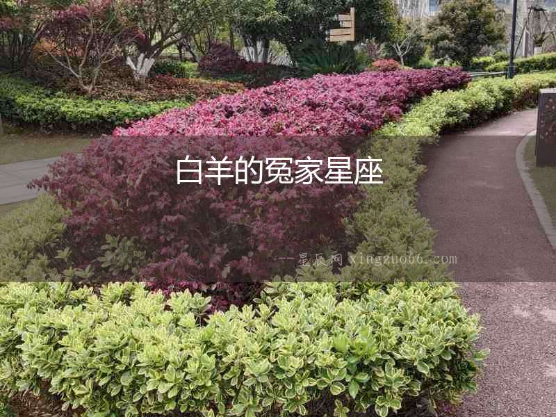 白羊的冤家星座