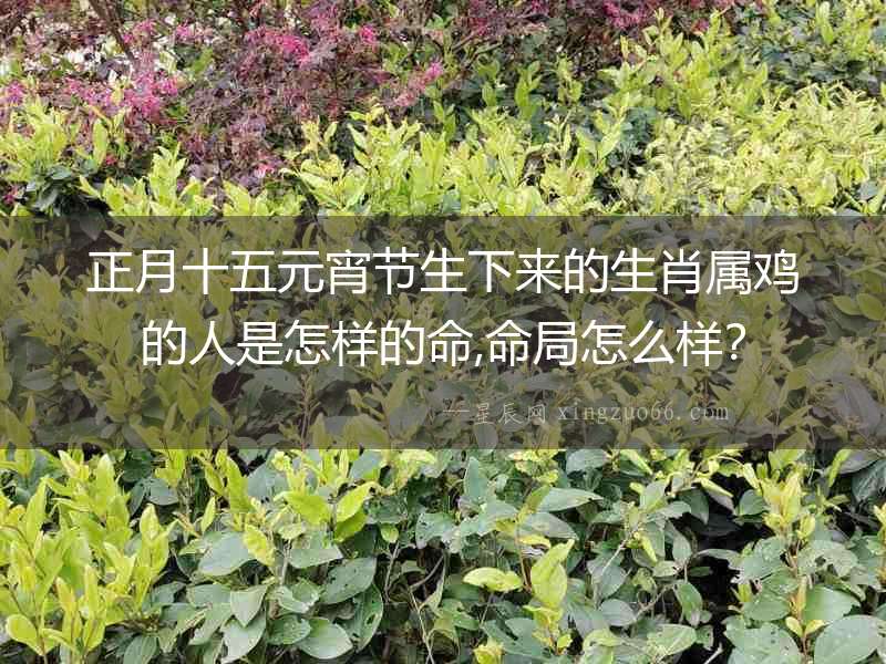 正月十五元宵節生下來的生肖屬雞的人是怎樣的命,命局怎么樣？
