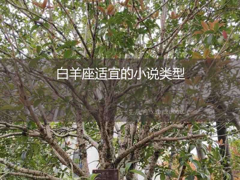 白羊座適宜的小說(shuō)類型