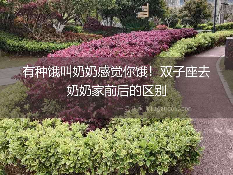 有種餓叫奶奶感覺你餓！雙子座去奶奶家前后的區別