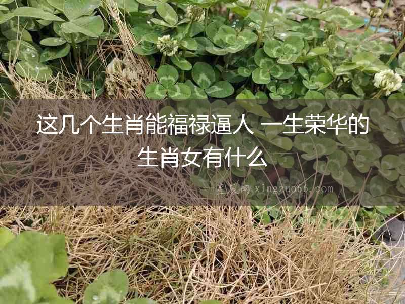 這幾個生肖能福祿逼人 一生榮華的生肖女有什么
