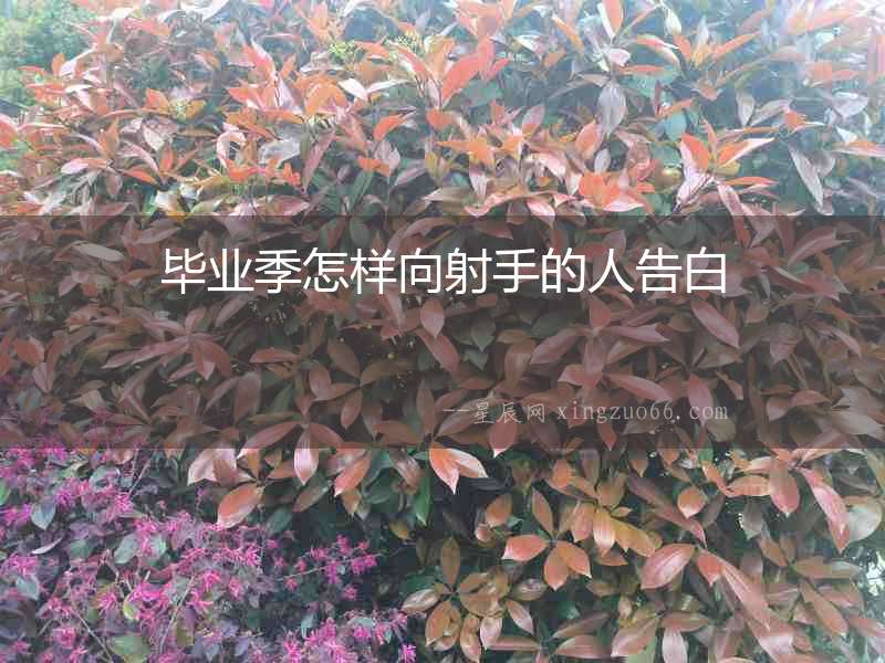 畢業(yè)季怎樣向射手的人告白
