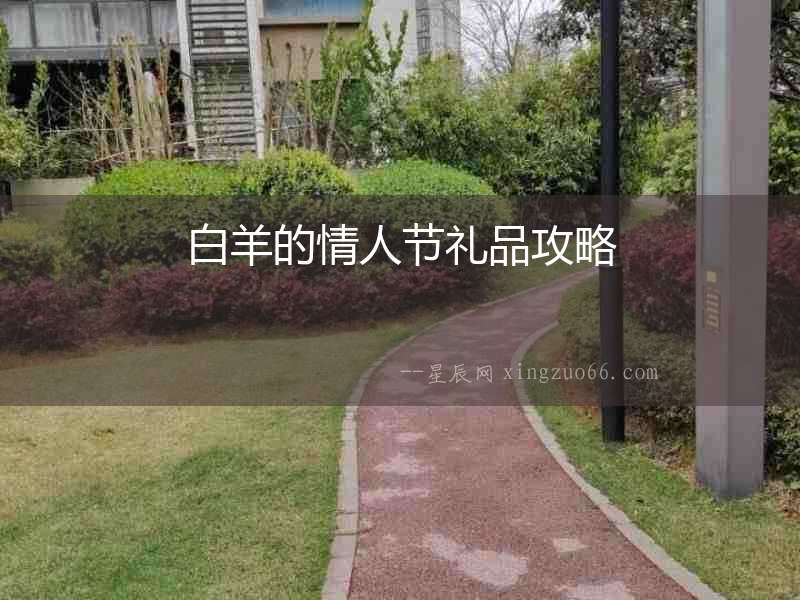 白羊的情人節禮品攻略