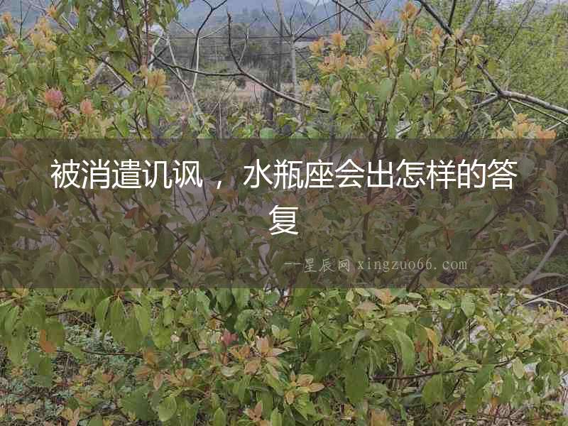 被消遣譏諷 ，水瓶座會出怎樣的答復