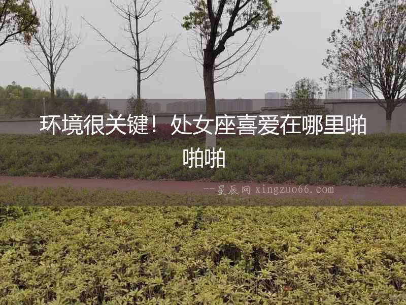 環境很關鍵！處女座喜愛在哪里啪啪啪