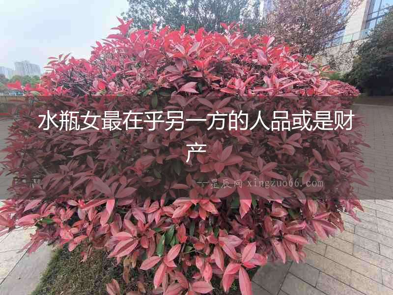 水瓶女最在乎另一方的人品或是財產