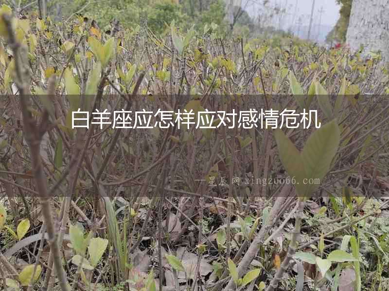 白羊座應(yīng)怎樣應(yīng)對感情危機