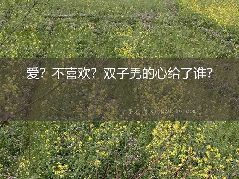 愛？不喜歡？雙子男的心給了誰？