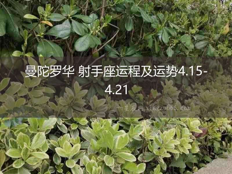 曼陀羅華 射手座運(yùn)程及運(yùn)勢(shì)4.15-4.21