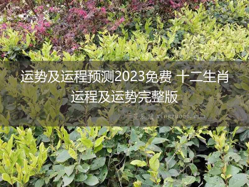 運勢及運程預(yù)測2023免費 十二生肖運程及運勢完整版