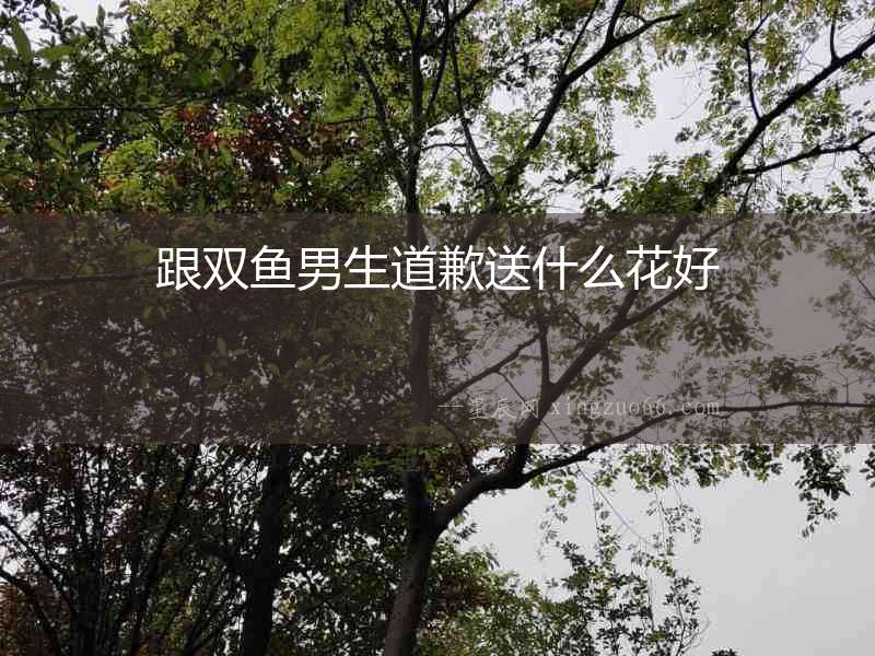 跟雙魚男生道歉送什么花好
