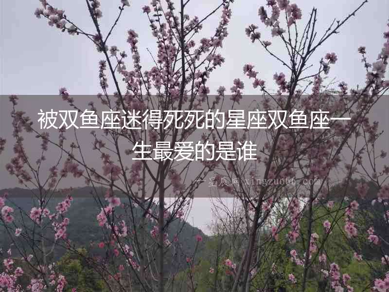 被雙魚座迷得死死的星座雙魚座一生最愛的是誰