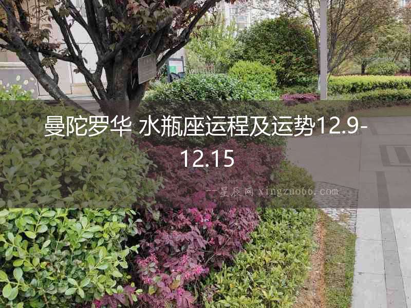 曼陀羅華 水瓶座運程及運勢12.9-12.15
