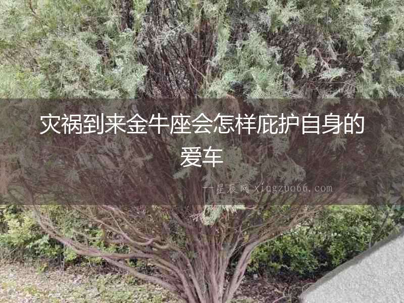 災(zāi)禍到來金牛座會(huì)怎樣庇護(hù)自身的愛車