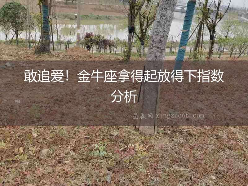 敢追愛！金牛座拿得起放得下指數分析