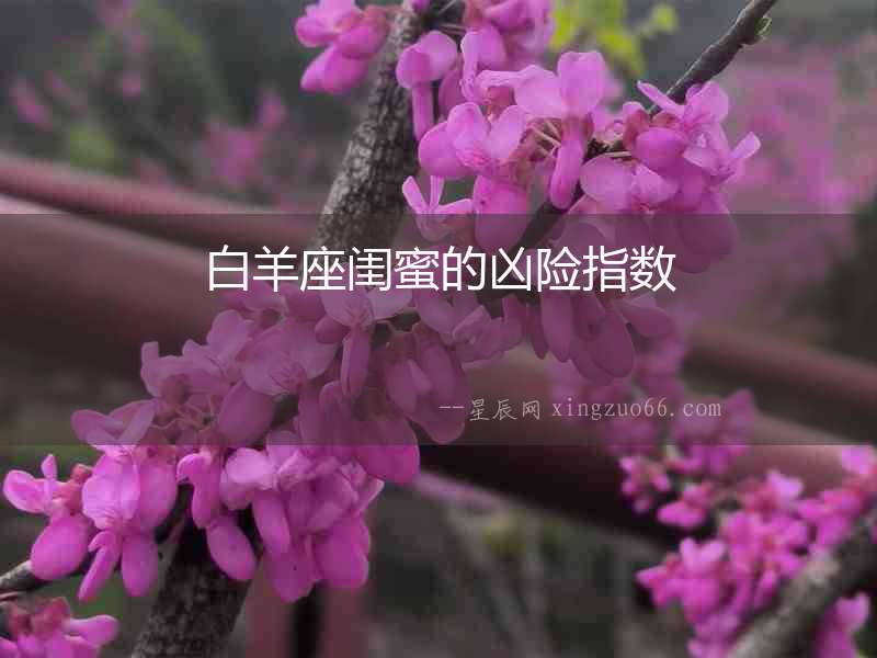 白羊座閨蜜的兇險指數(shù)
