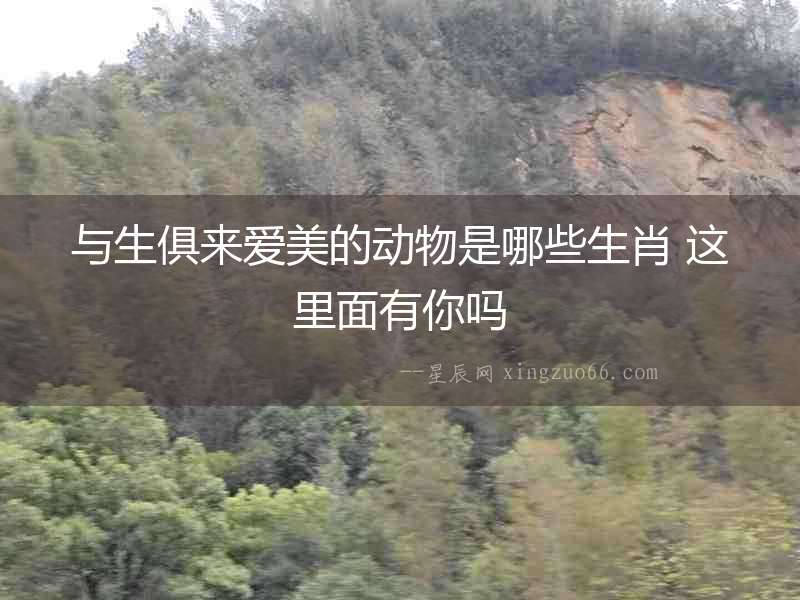 與生俱來愛美的動物是哪些生肖 這里面有你嗎