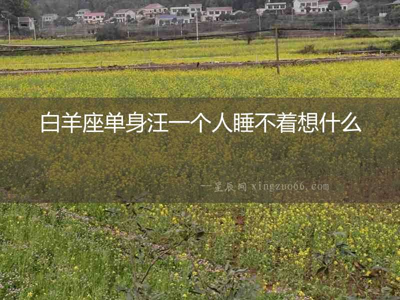 白羊座單身汪一個人睡不著想什么